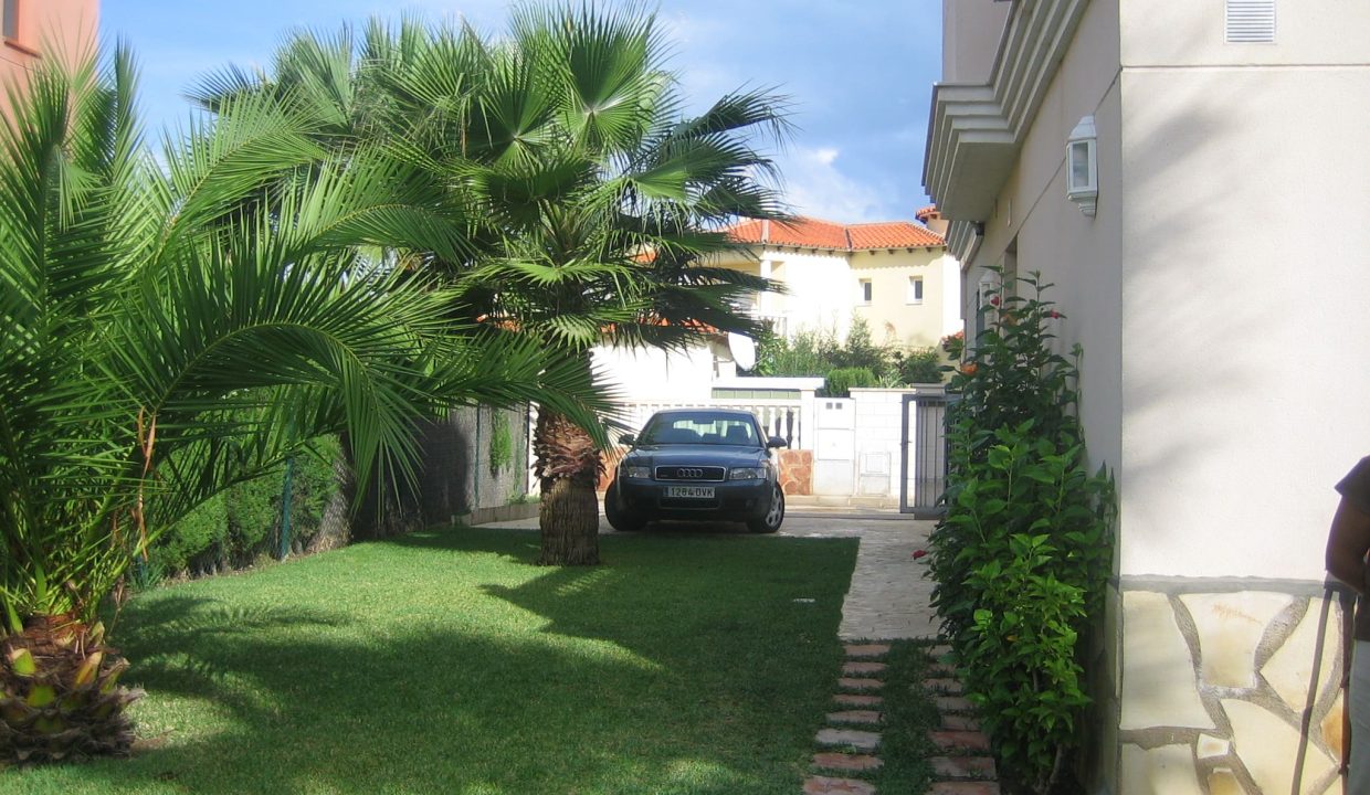 nueva oliva-nova 008