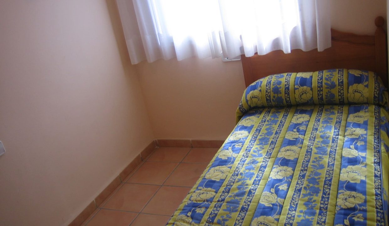 nueva oliva-nova 010