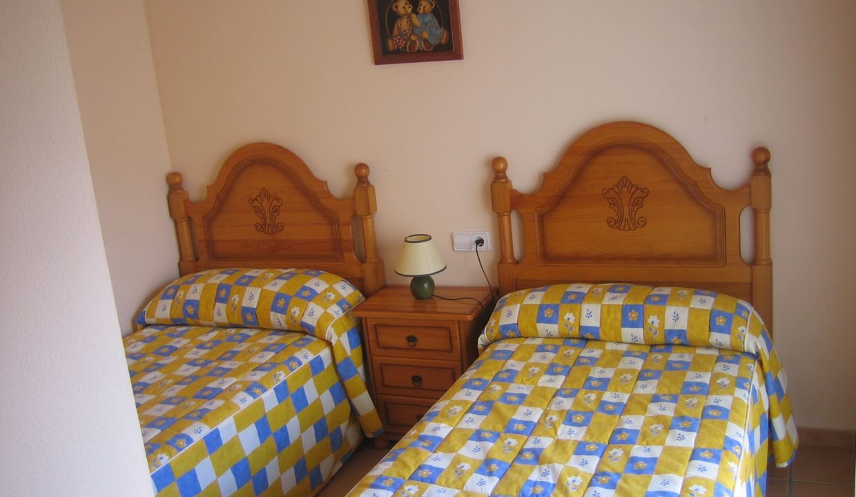 nueva oliva-nova 013