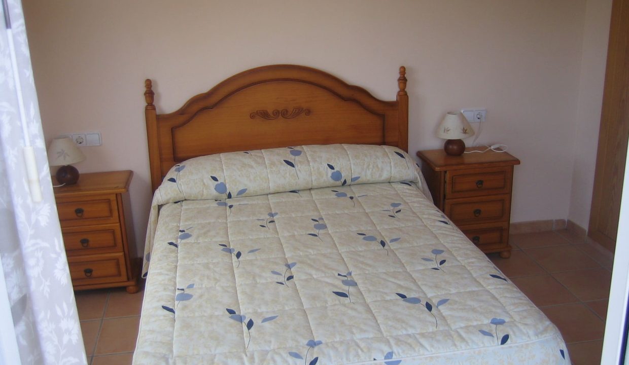 nueva oliva-nova 015